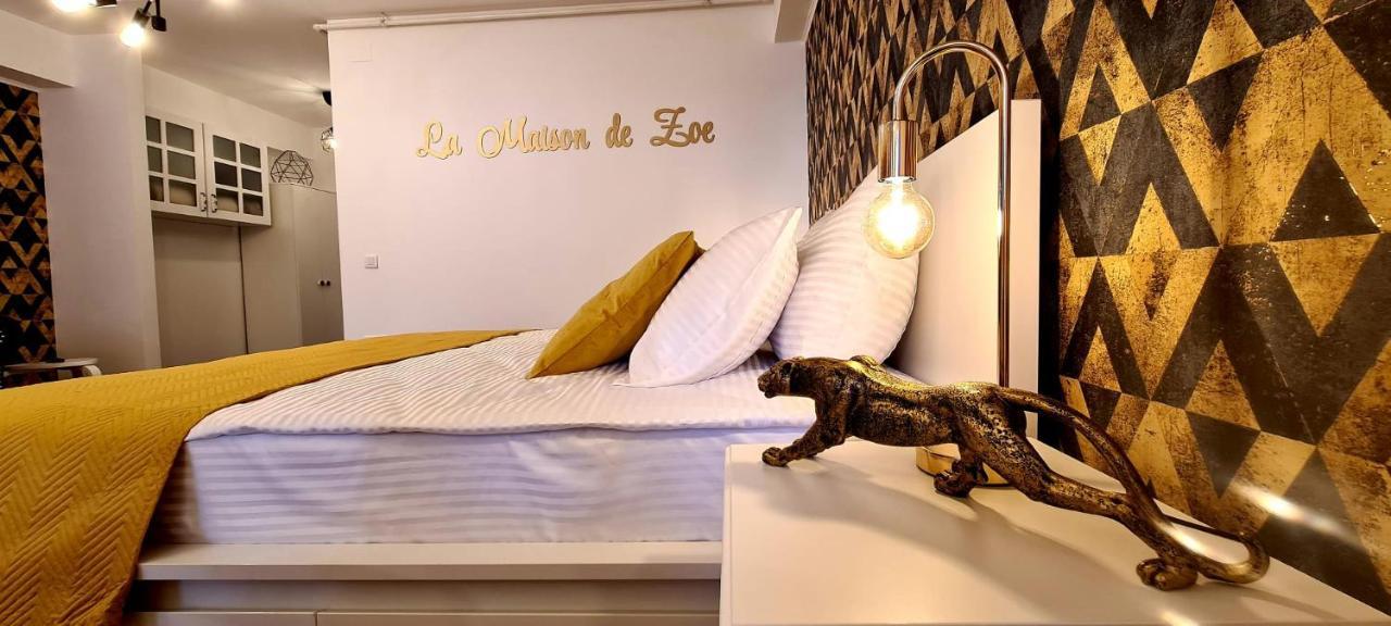 La Maison De Zoe - Airport Residences Otopeni Bagian luar foto