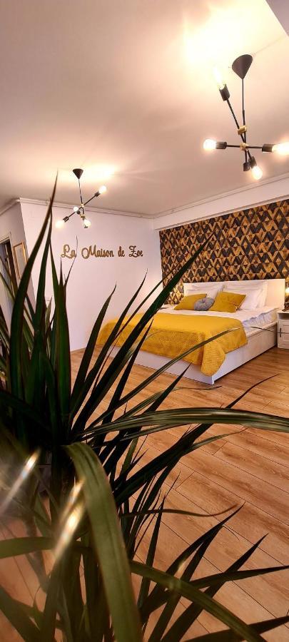 La Maison De Zoe - Airport Residences Otopeni Bagian luar foto